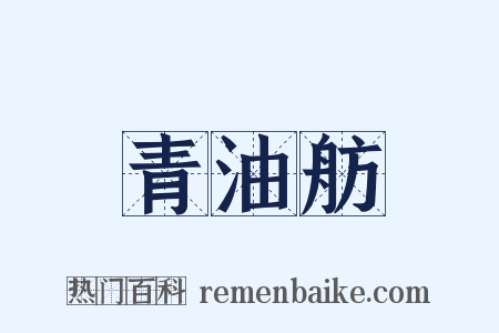 青油舫是什么意思的图片